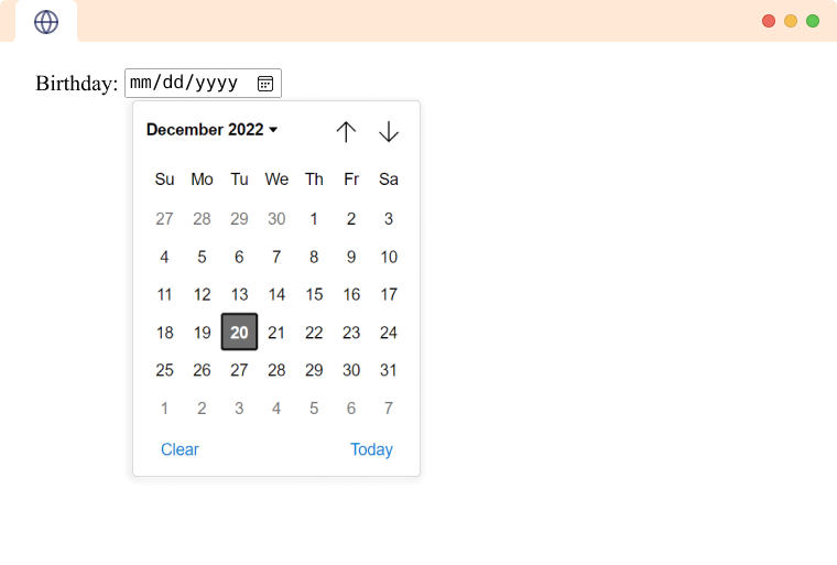 HTML Input Tag (With Examples)