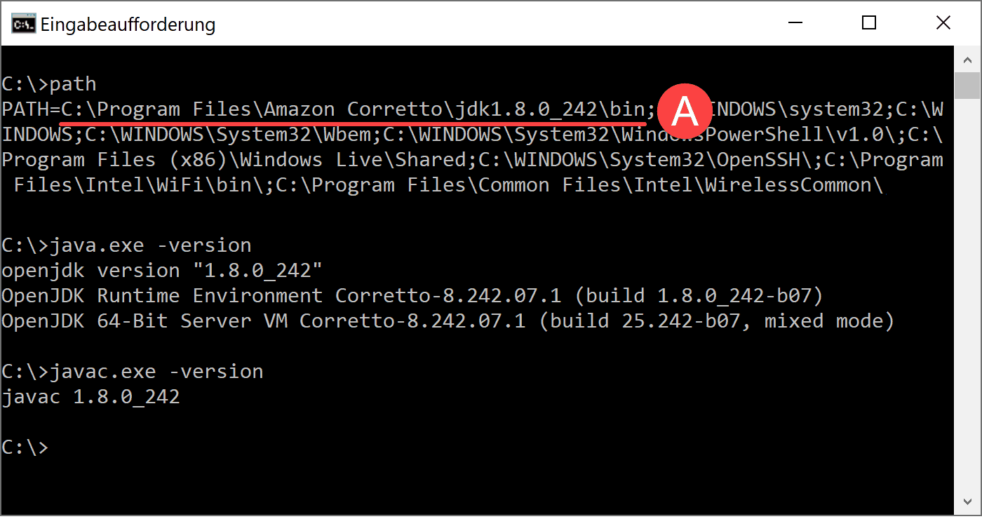 Installation des Amazon Corretto JDK 8 + JDK 11 auf Windows 10 PC