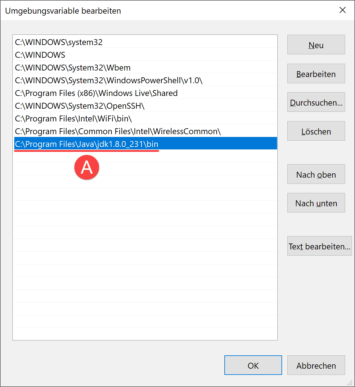 Java Download and Install JDK 10 on Windows .