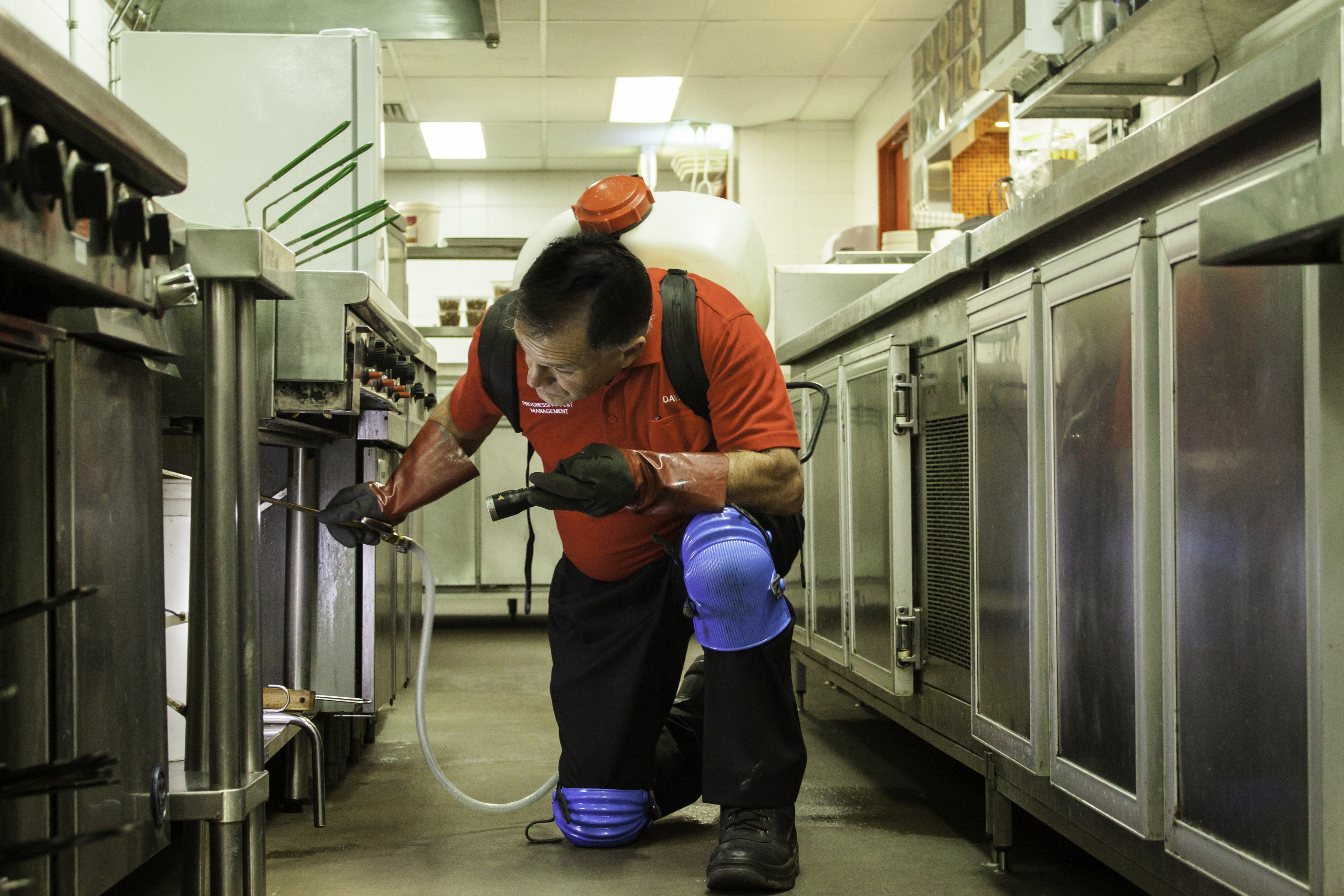 How to choose the best company for commercial pest control Brisbane