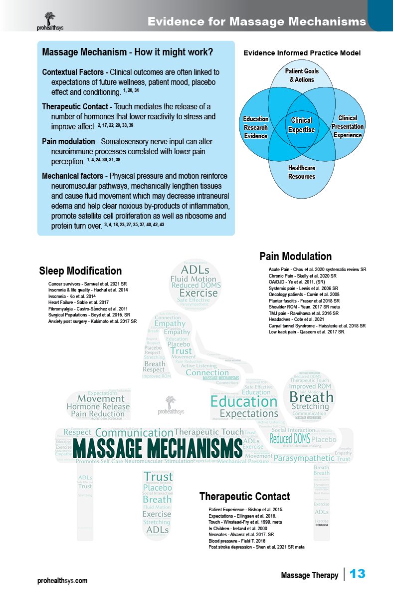 Massage Therapy Textbook by Prohealthsys