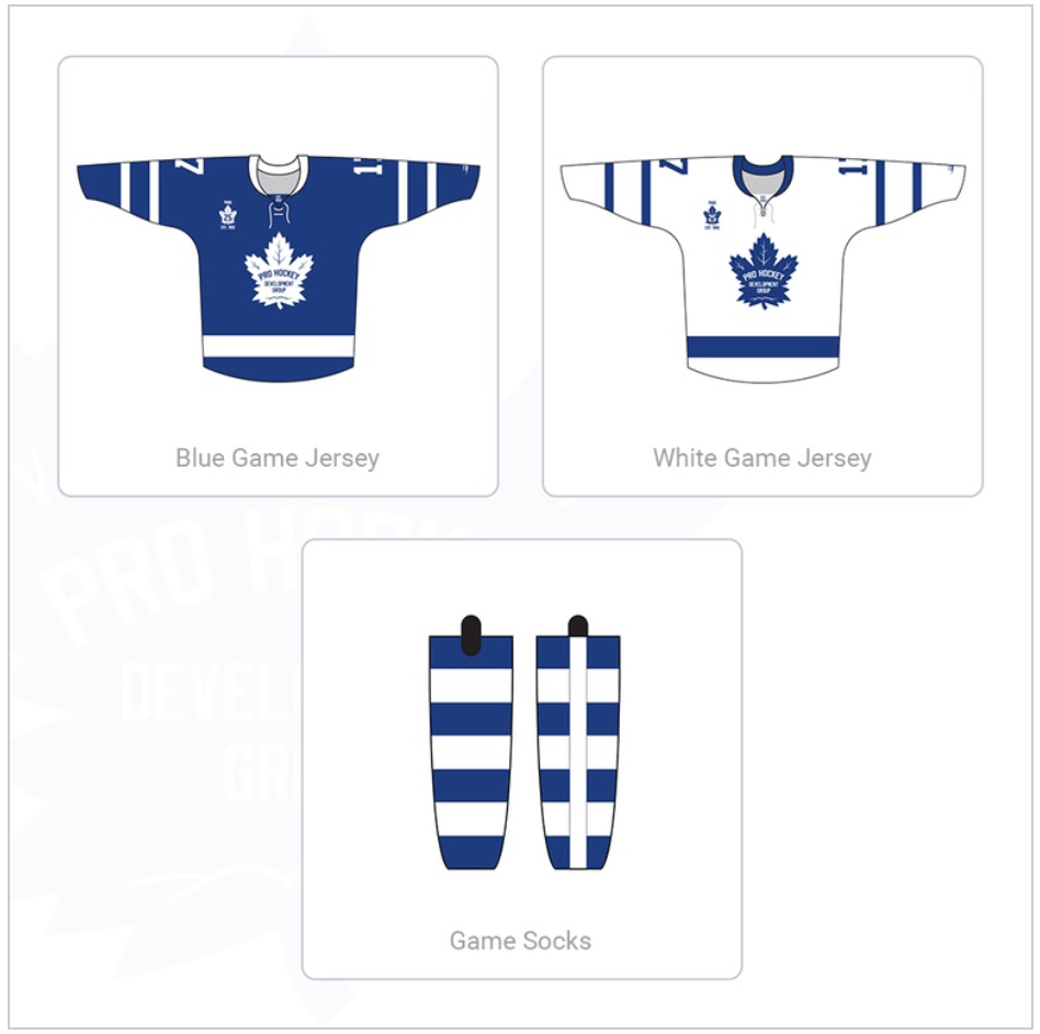 Pro Hockey Development Group site by RAMP InterActive