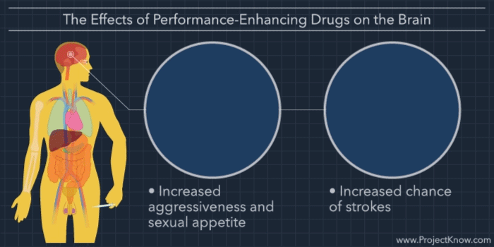 The Effects of PerformanceEnhancing Drugs on Your Body