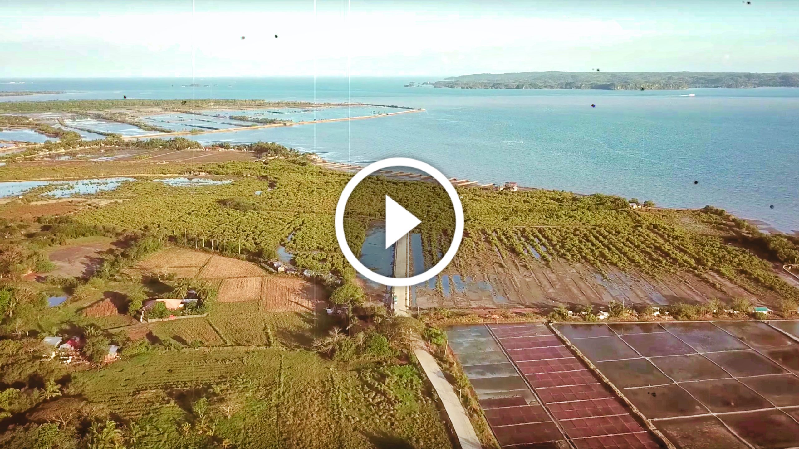 IloiloGuimarasNegrosCebu Link Bridge Phase 1 as of March 2020