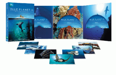 BLUE PLANET II – La nuova serie BBC dedicata al “patrimonio blu” del nostro pianeta viene presentata in Home Video in Italia in un packaging 100% green