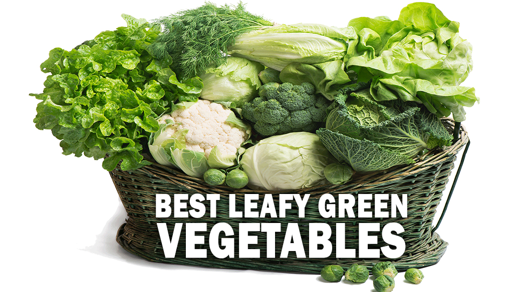 Best Leafy Green Vegetables Project NEXT