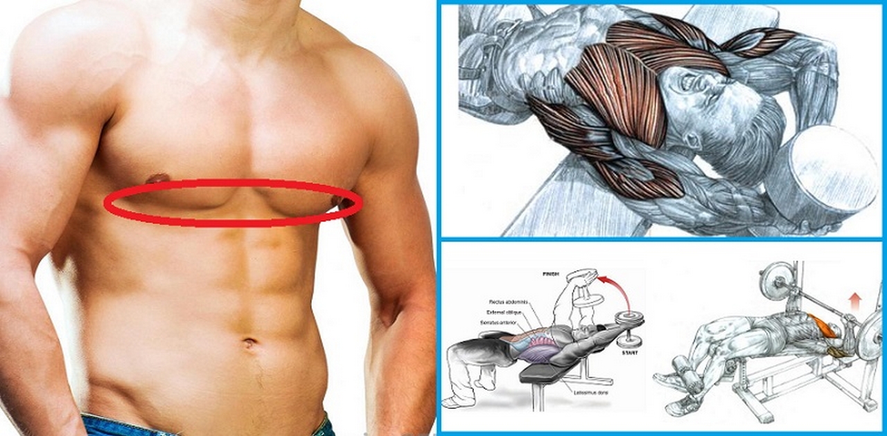 How To Tone Your Lower Chest Using 5 Simple Exercises Project NEXT