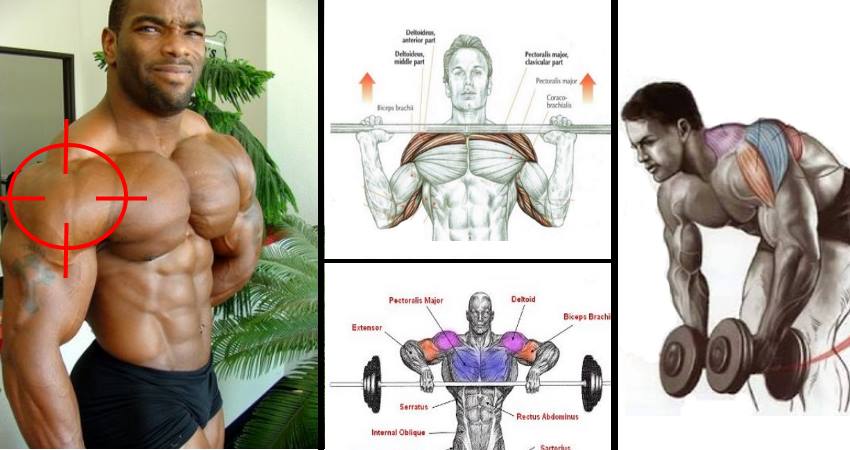 Improve Shoulder Size and Strength With This 4 Week Protocol Project NEXT