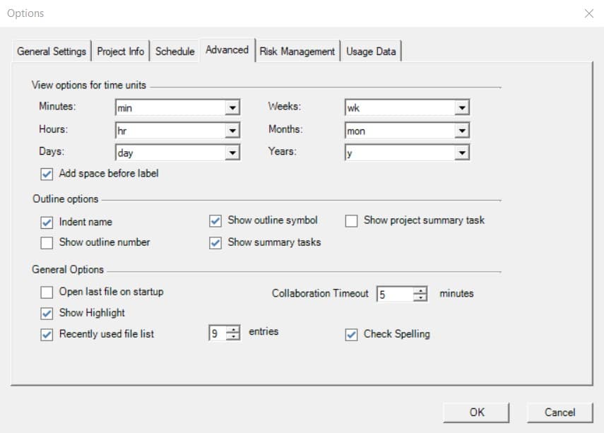 Advanced Options Project Plan 365