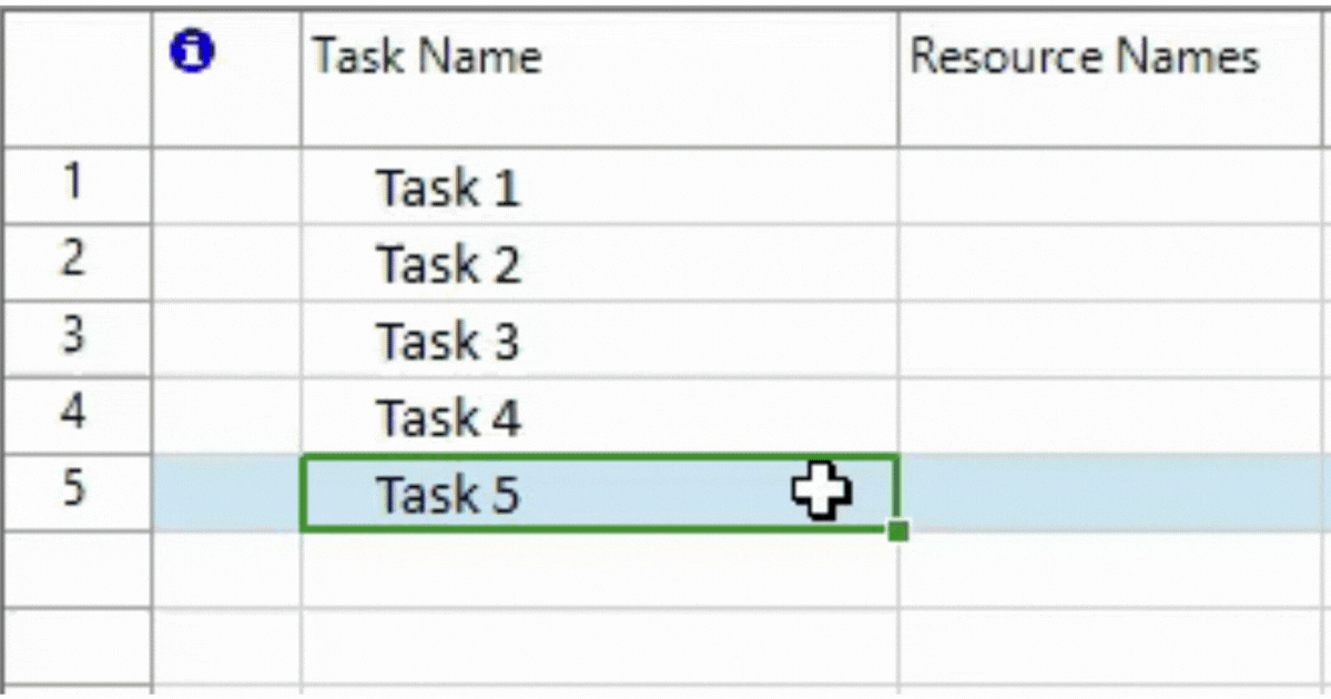 Fill in Grid Project Plan 365