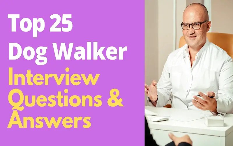 What Questions Should I Ask A Dog Walker