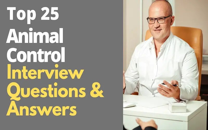 Top 25 Animal Control Interview Questions and Answers in 2024