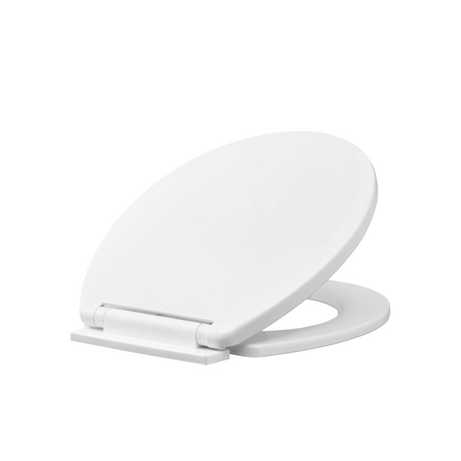 Project Source Round Toilet Seat - Plastic 16-in White | Christmas
