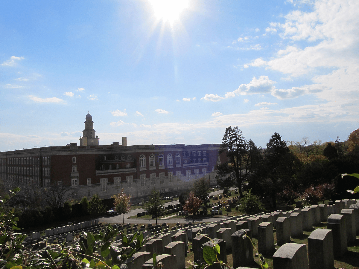 Project Woodhaven Fall