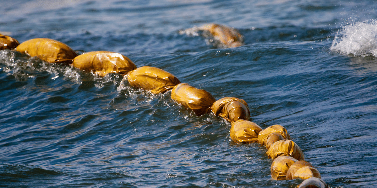 Deepwater Horizon Economic Property Damage Settlement Program