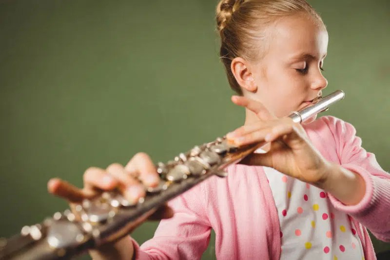 Flute Lessons Halesowen Dudley Pro Music Online Flute Tuition