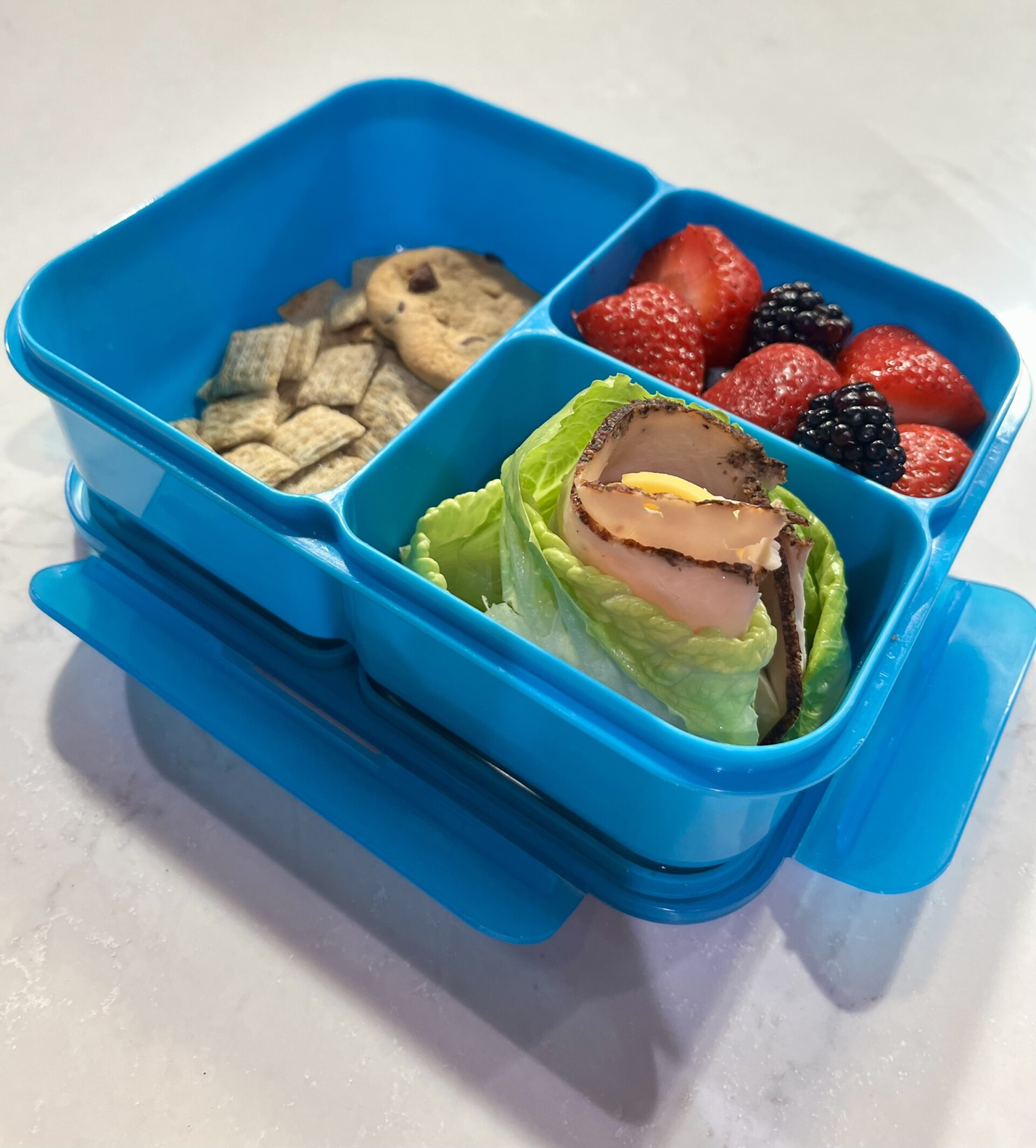 Turkey Lettuce Wrap Bento Box Professional Nutrition Consulting
