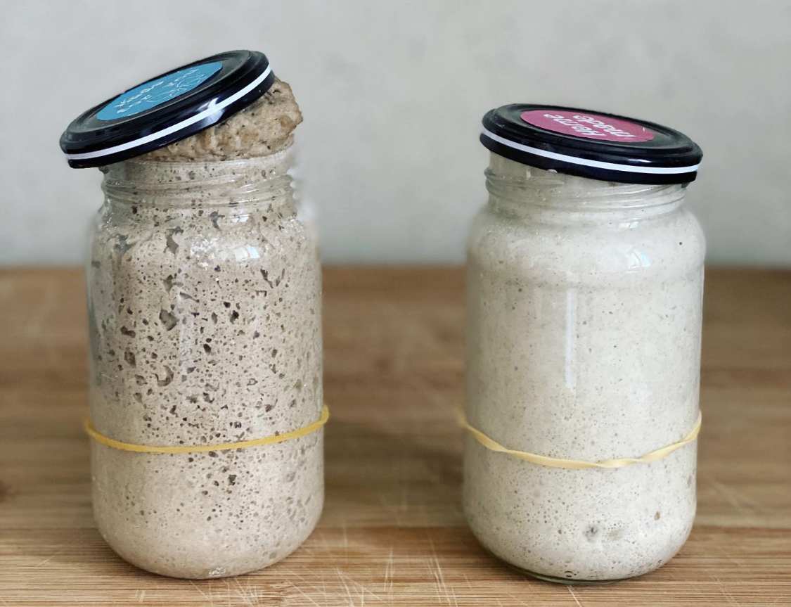 3/ How to use your starter – Proof Perfected