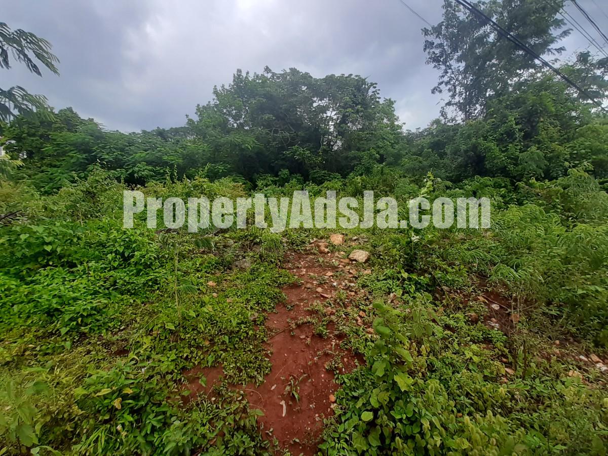 Land For Sale in Smokey Vale, Kingston / St. Andrew Jamaica
