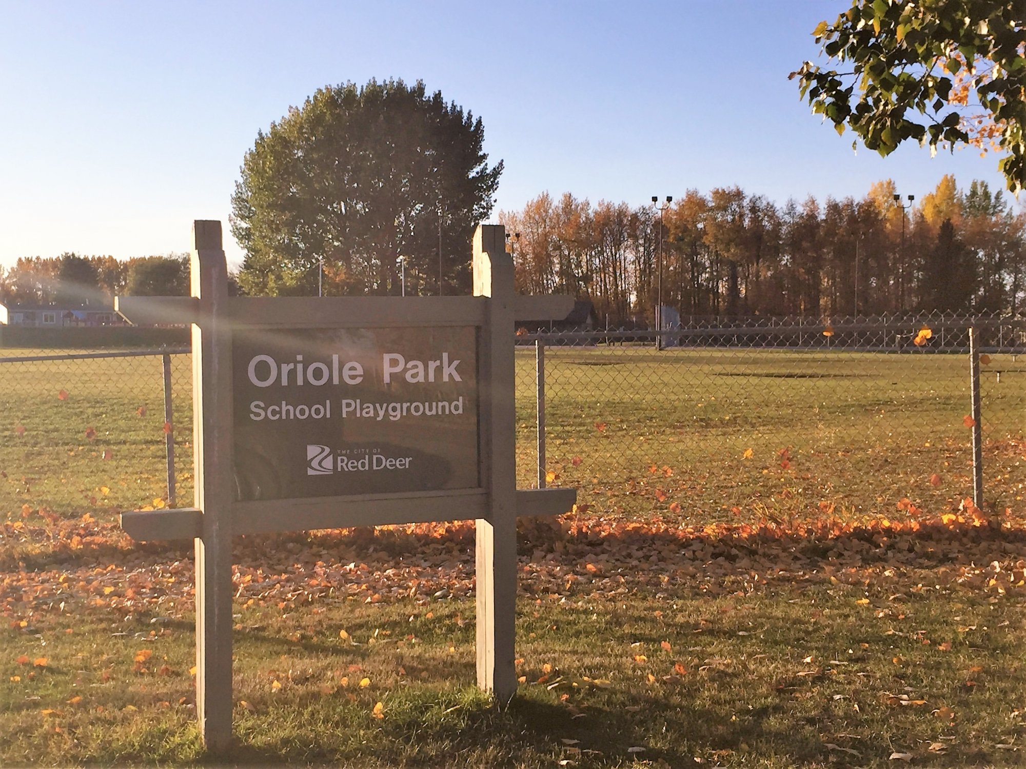 Oriole Park