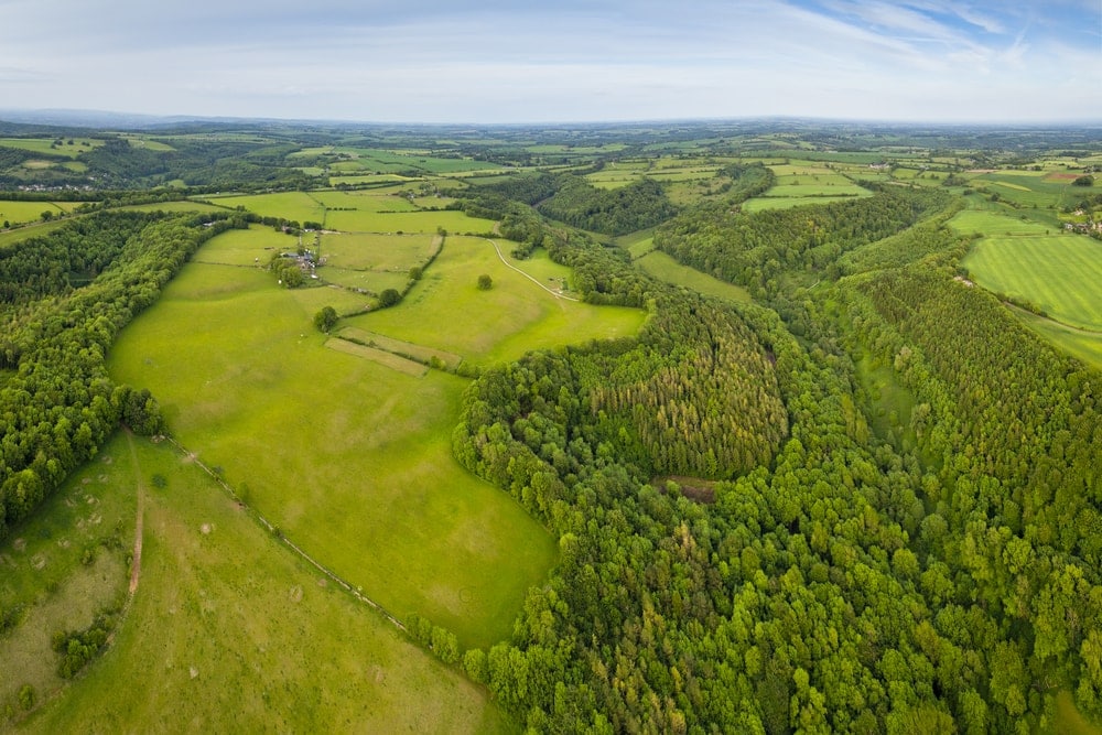 Brexit brings down the price of farm land in England and Wales