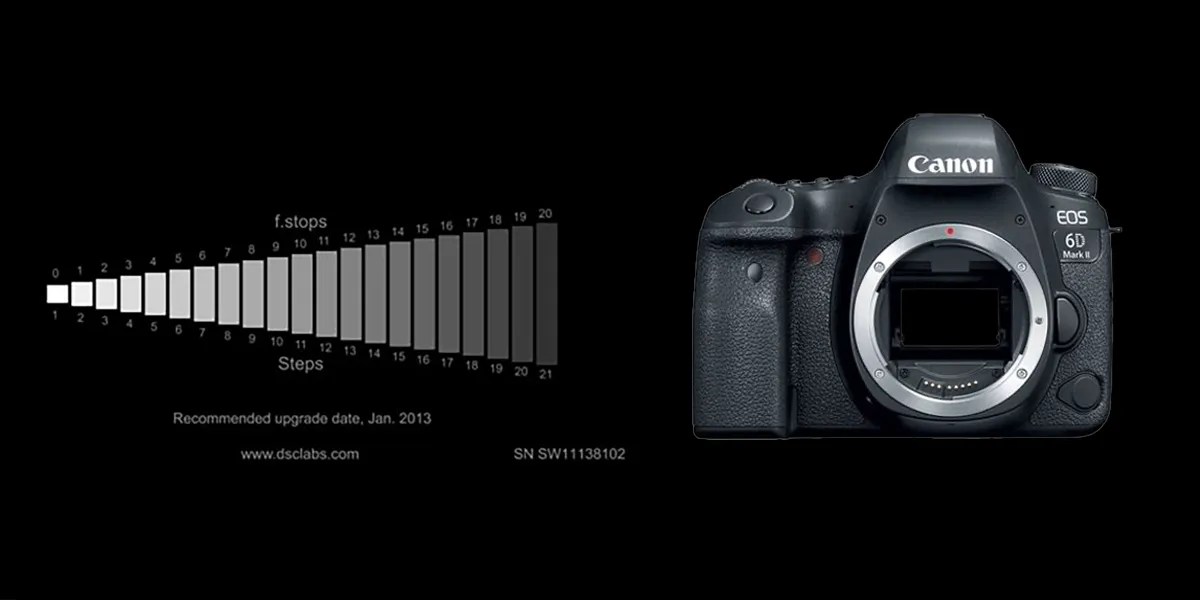 Canon vs Nikon Which Camera is The Best For You?