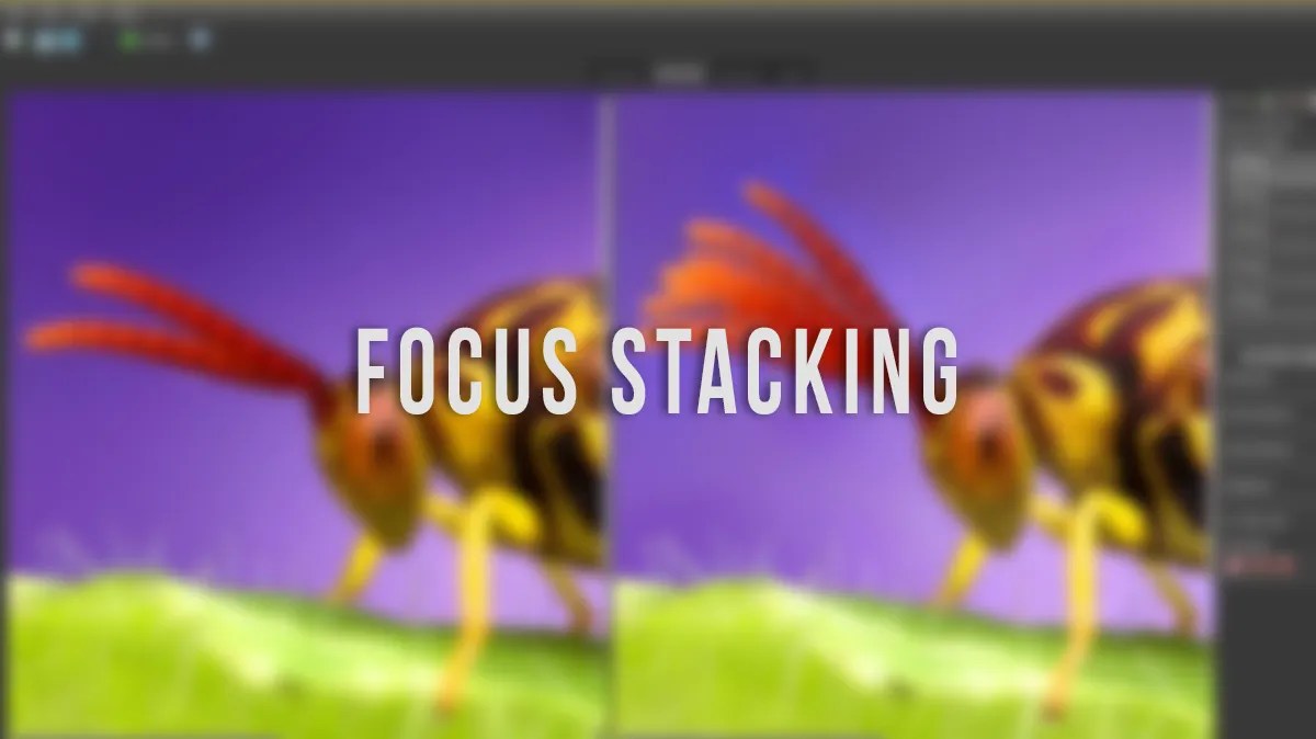Best Focus Stacking Software 5 Top softwares in 2024
