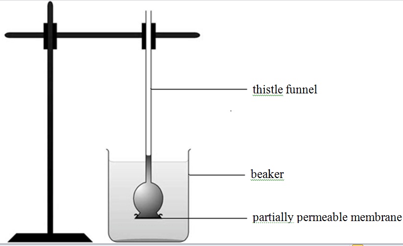 Sec 1 Biology Elearning ProProfs Quiz
