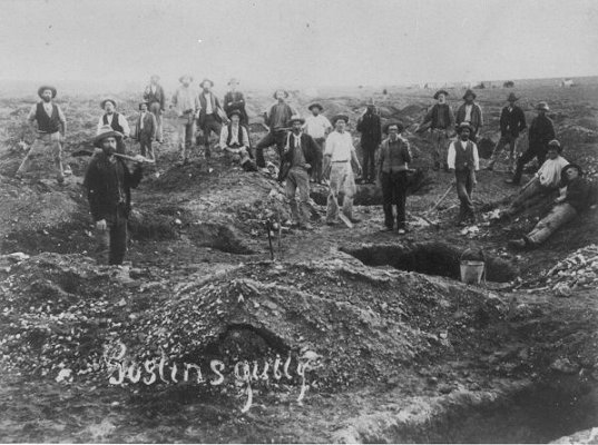 A lot of individuals admittedly had a hard t. The Australian Gold Rush Test Your Knowledge Proprofs Quiz