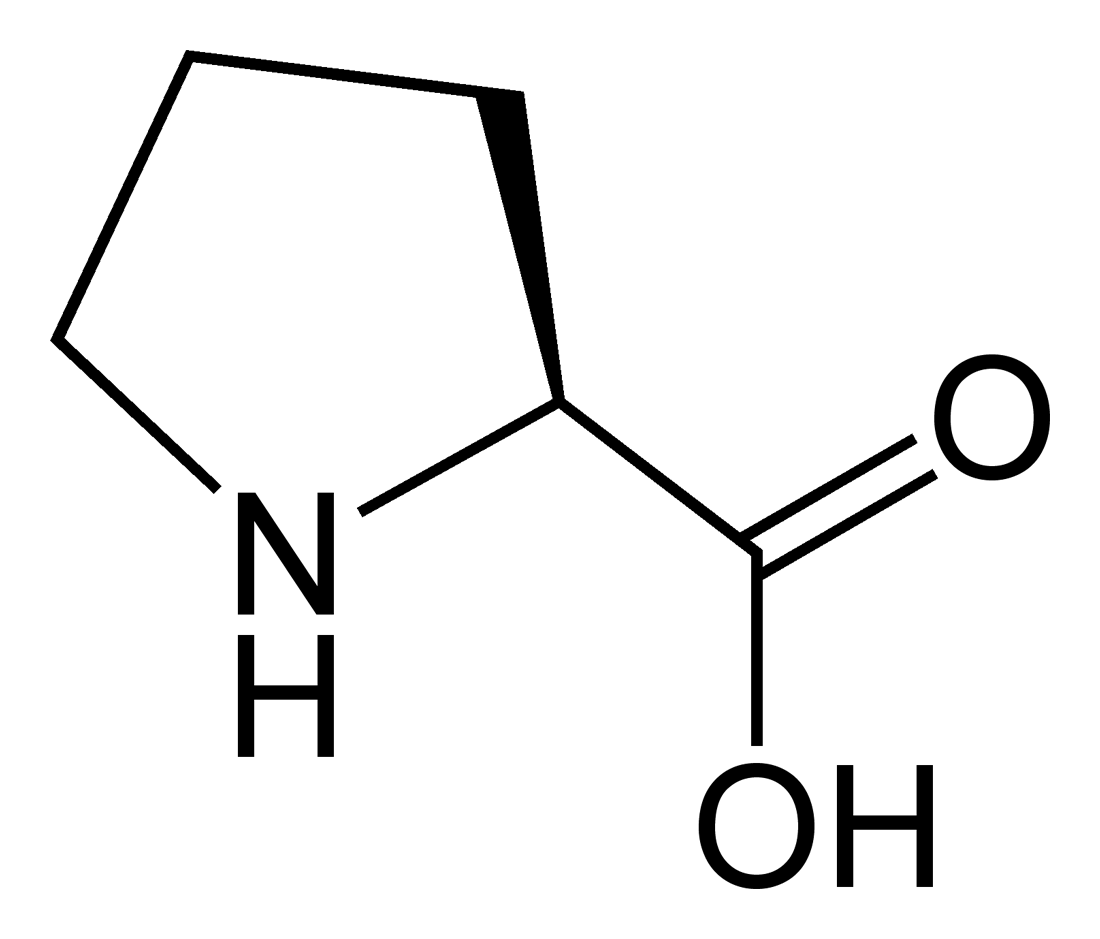 AMINO ACIDS Flashcards by ProProfs