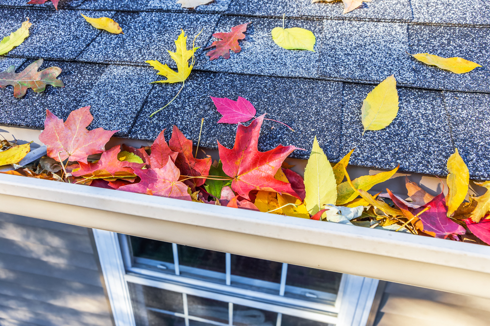 Gutter Cleaning Marietta GA Acworth, Kennesaw, Woodstock, Sandy Springs