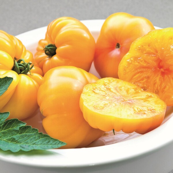 Graines potagères TOMATE CÔTELEE MARGOLD F1 PROSEM