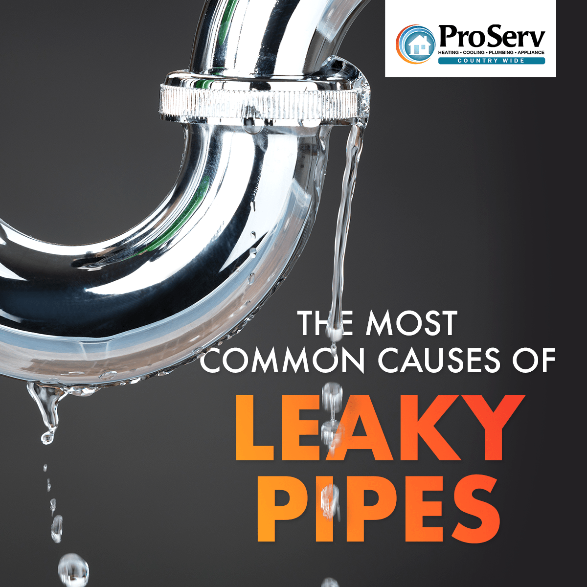 ProServ_Leaky_Pipes_Blog_Share_January_2023 ProServ