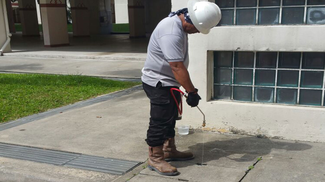 Singapore Mosquito Control Mosquito Fumigation & Fogging