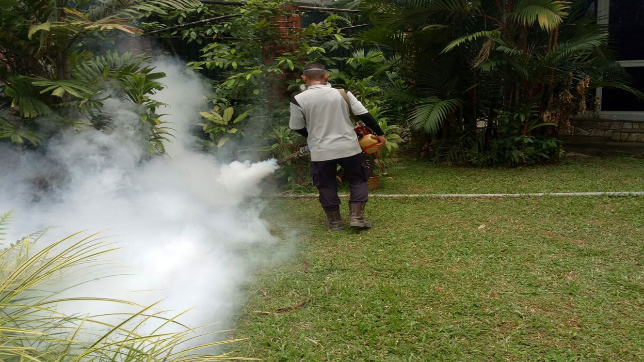 Mosquito Control & Prevention Singapore by Fumigation & Fogging