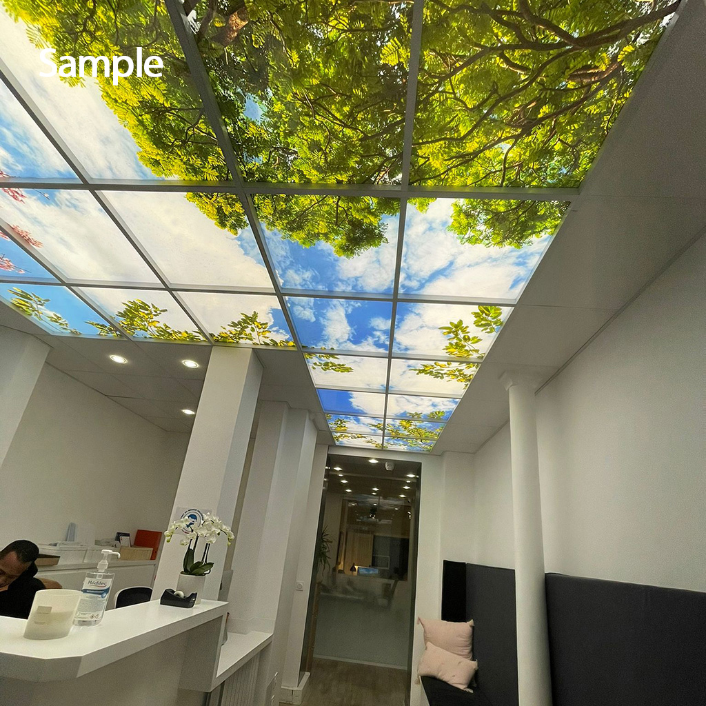 Blue Sky Ceiling Tiles Shelly Lighting