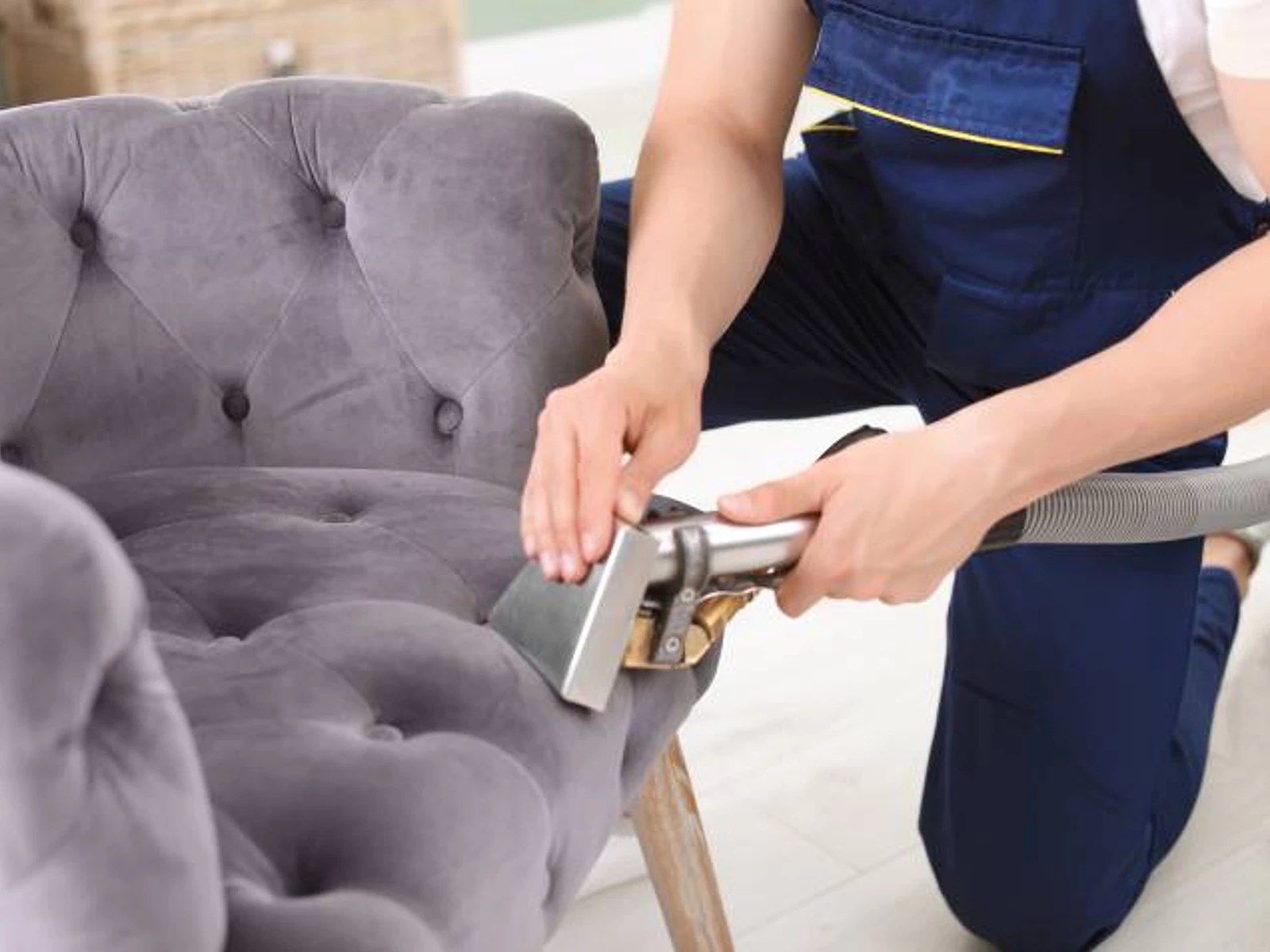 5 Reasons You Need to Hire a Professional Couch Cleaner Pro Sofa Clean