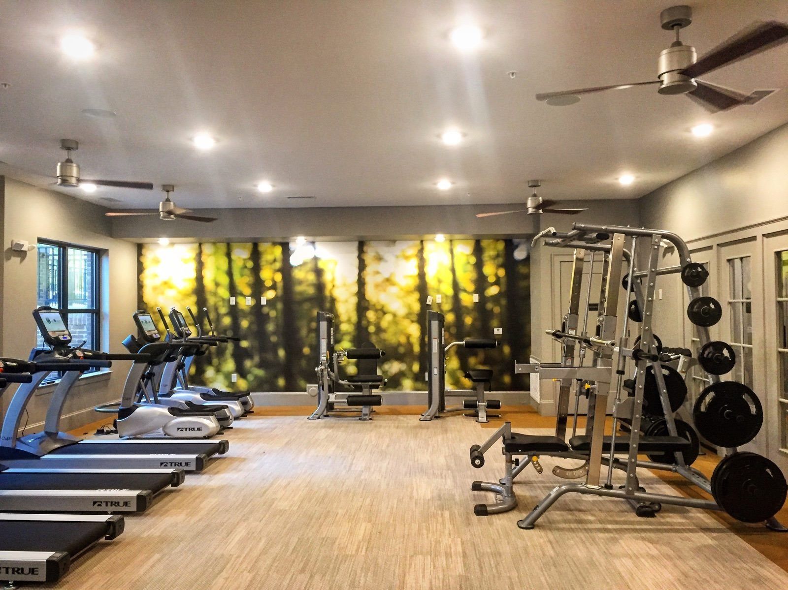 Commercial Equipment Fitness Equipment Dealers Near Me