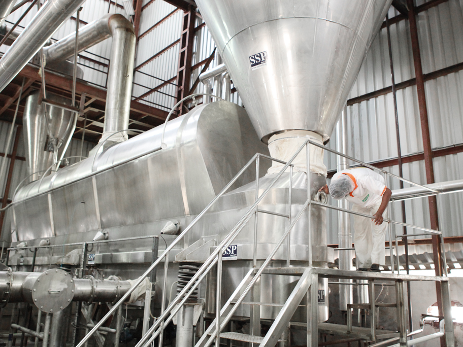 Dairy and Food Processing Projects