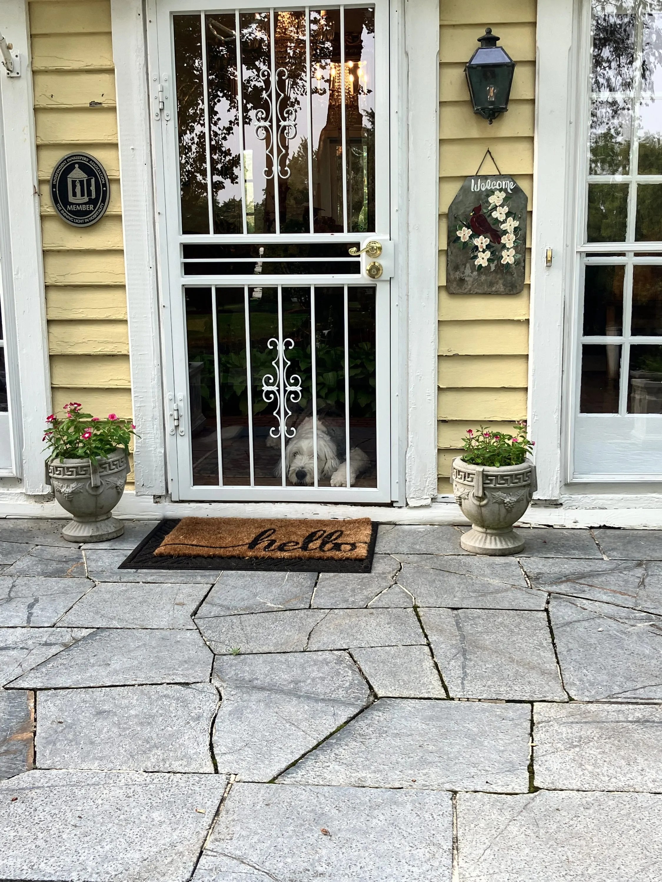 Charlottesville, VA PetFriendly Bed and Breakfast Bring Your Dog