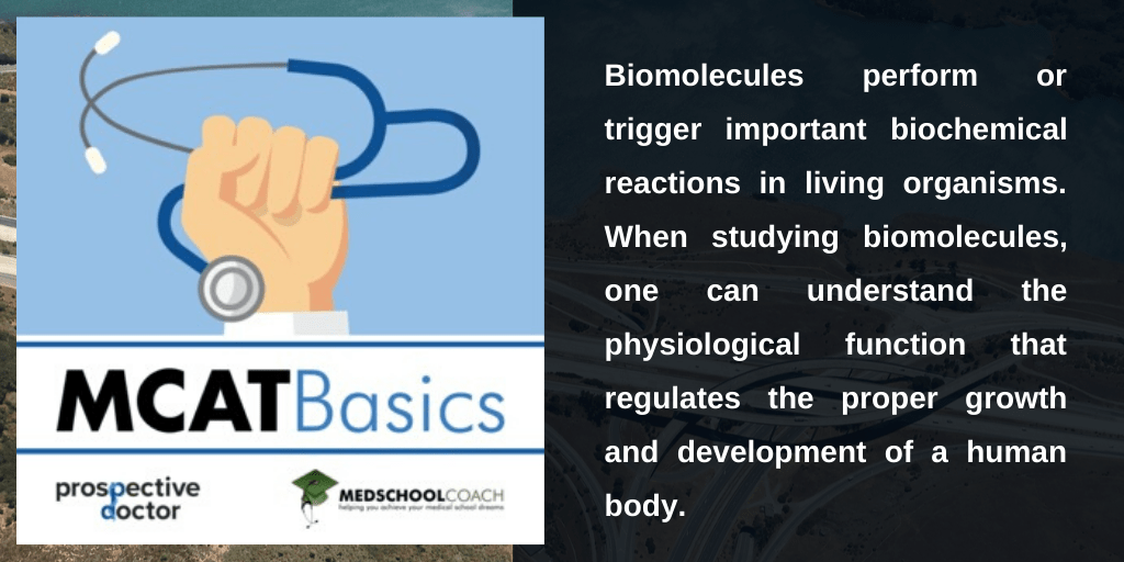 MCAT Basics 6 Biomolecule Structure, Naming, and Function