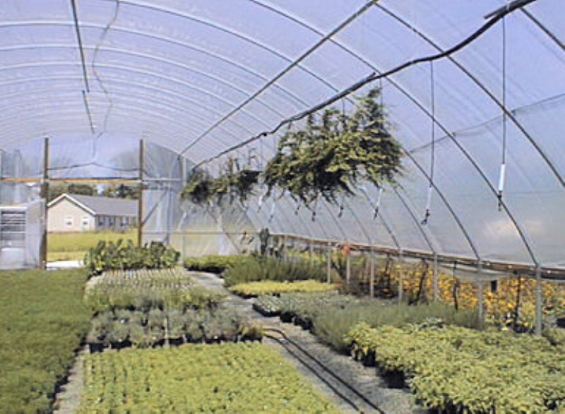 Commercial Greenhouses GroundtoGround Greenhouses