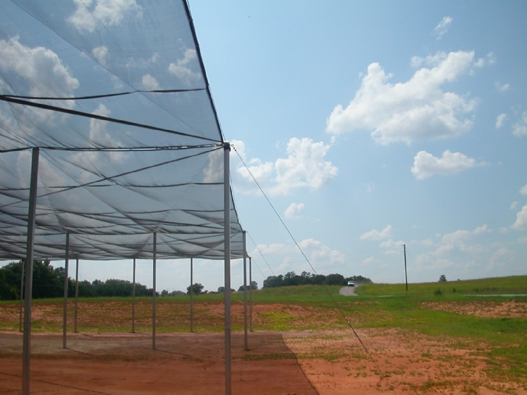 James Greenhouse Prospiant