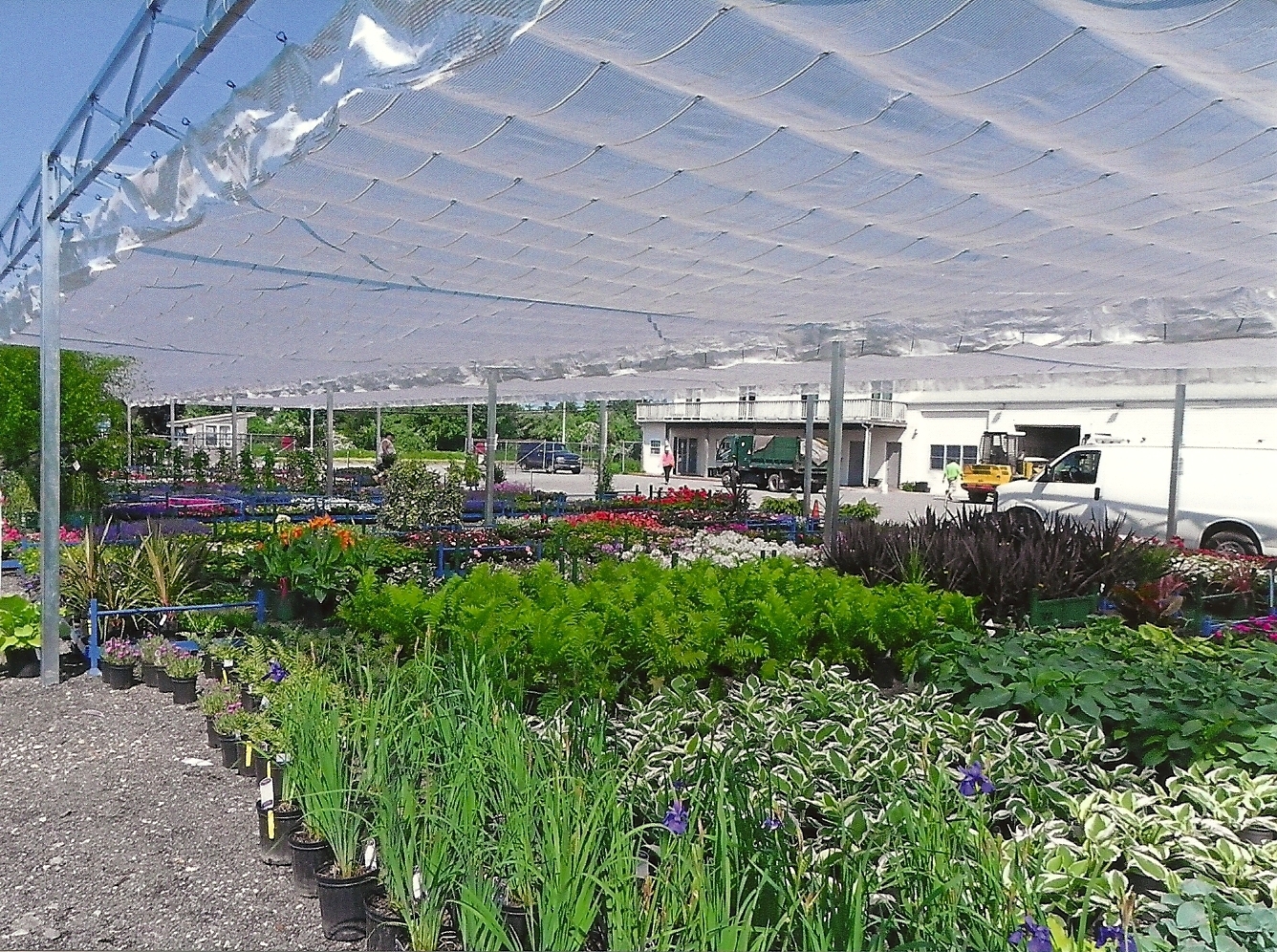 Commercial Greenhouses GP Flat Roof Fixed Shade
