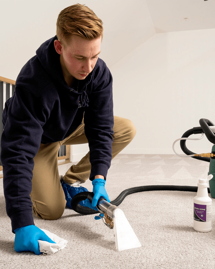 Carpet Cleaning Calgary Professional Carpet Cleaning