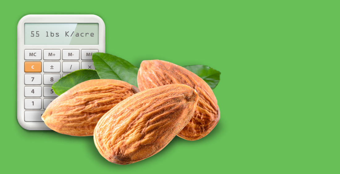 Almond Tree Potassium Fertilizer Protassium+®