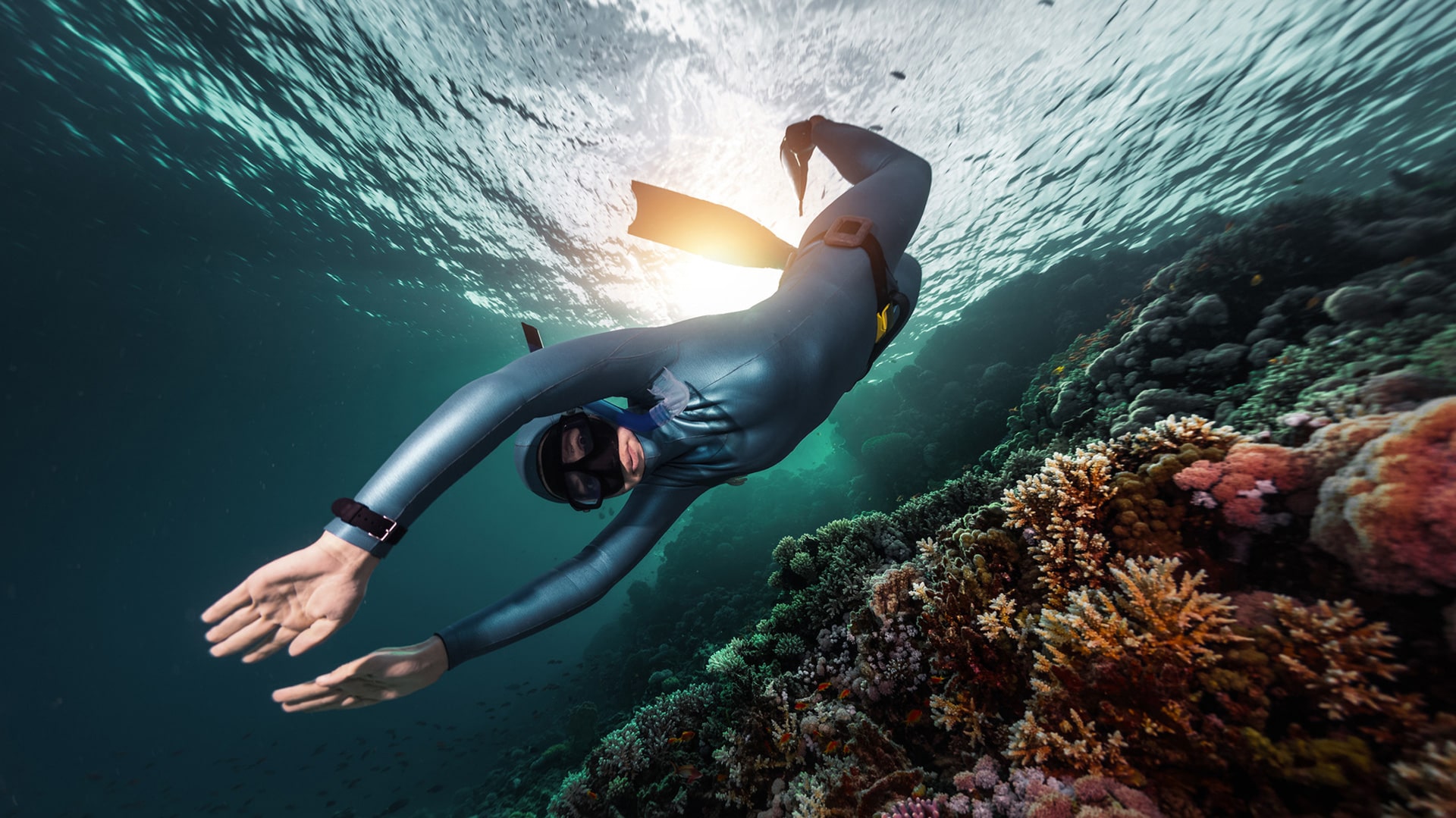 Apnea 2 ProTec International Professional Technical & Recreational Diving