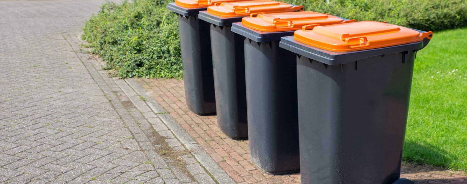 How to clean waste bins Protech Property Solutions