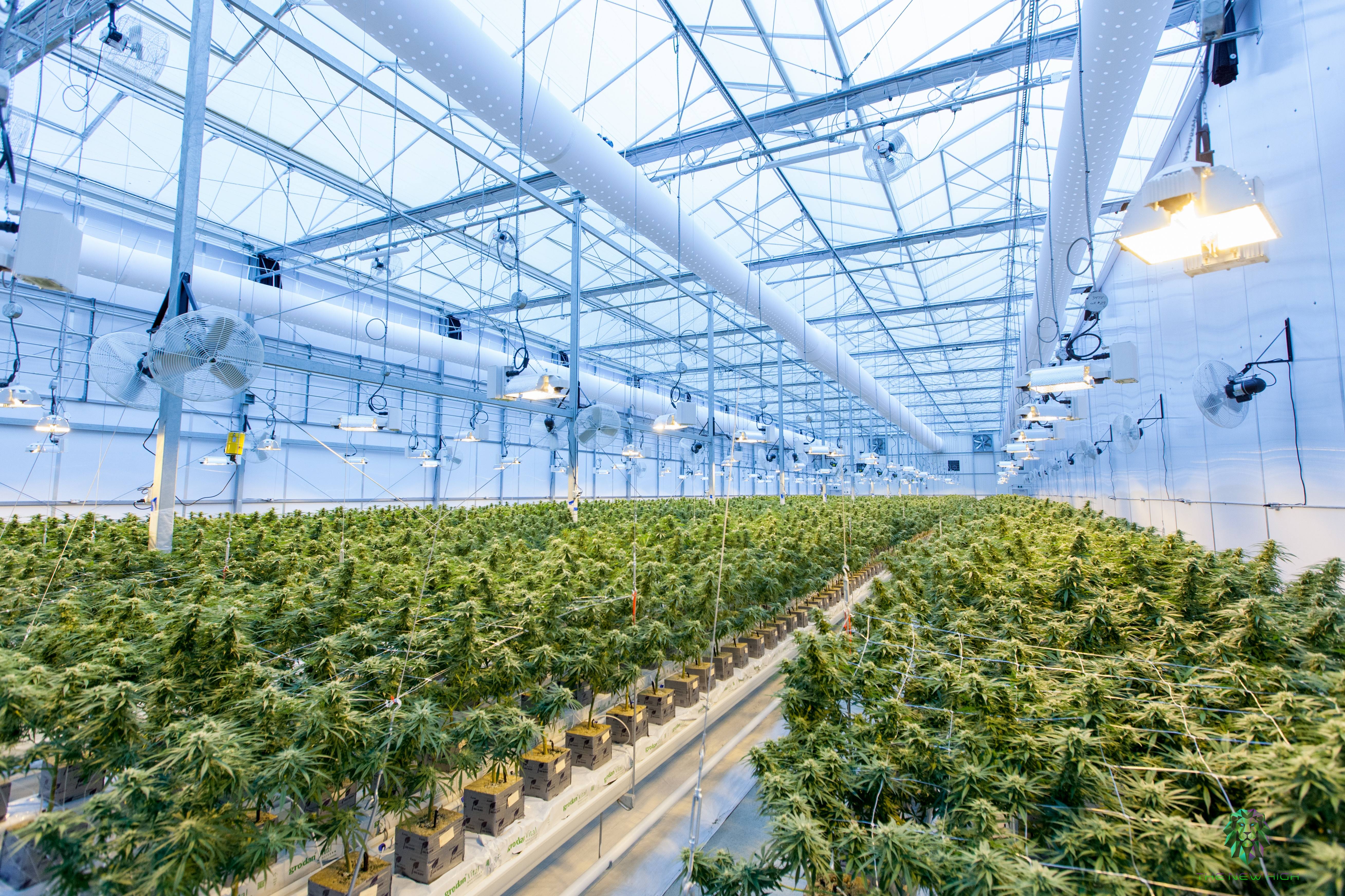 5 Things to Remember When Picking Out a Greenhouse Location Agriplast