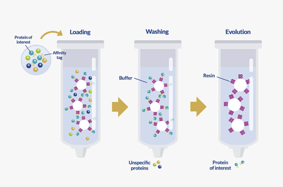 Tagged Protein Purification ProteoGenix